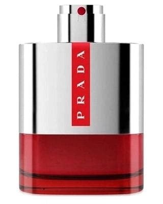 prada scent split